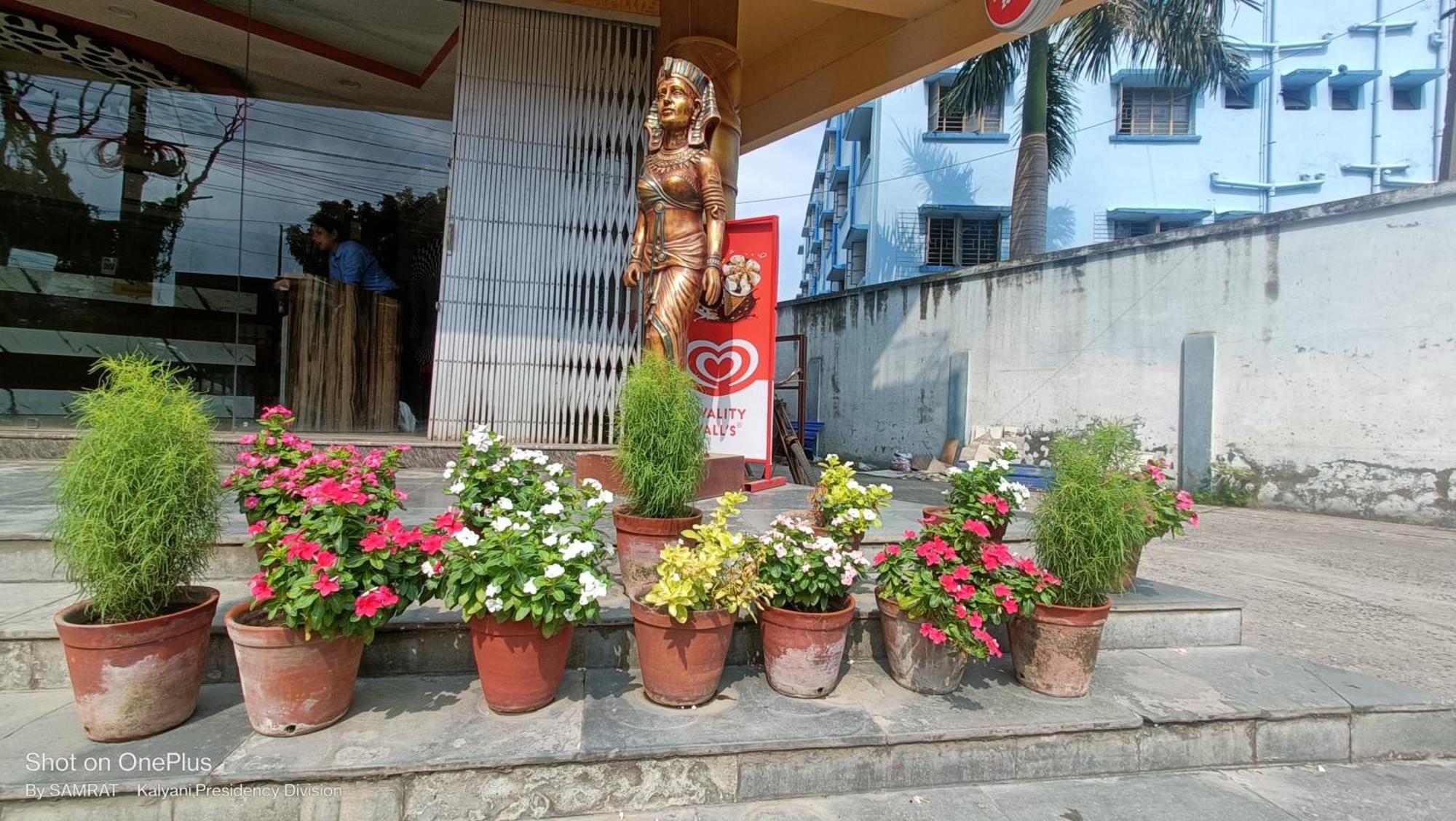Trisplanet Hotel Kalyani Ngoại thất bức ảnh